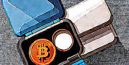 Tín hiệu on-chain từ Pakistan: Khi 'cấm' không phải là kết thúc