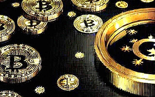 Cardano Foundation kéo lại quyền tổ chức Token2049: Tín hiệu quản trị hay cú lừa giao dịch?